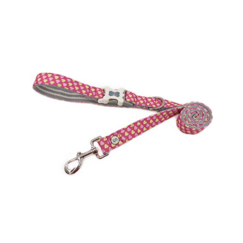 In Nylon Chó Vâng Lời Nhắc Nhở Huấn Luyện Nhanh Nhẹn